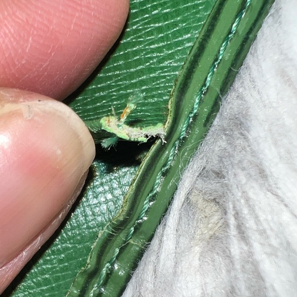 LOUIS VUITTON LV authentic GREEN EPI cardholder wallet PASSPORT HOLDER LIKE NEW - Picture 10 of 11